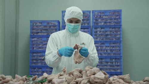 食品安全再上新臺階 叮咚買菜盱眙工廠通過FSSC體系認證與潤滑油銷售管理